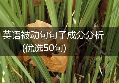 英语被动句句子成分分析(优选50句)