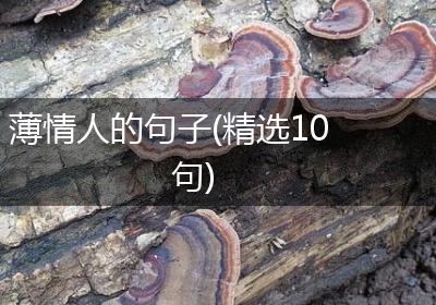 薄情人的句子(精选10句)