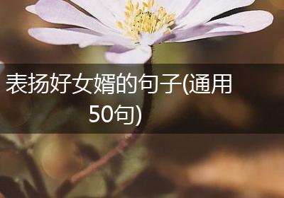 表扬好女婿的句子(通用50句)