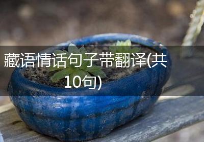 藏语情话句子带翻译(共10句)