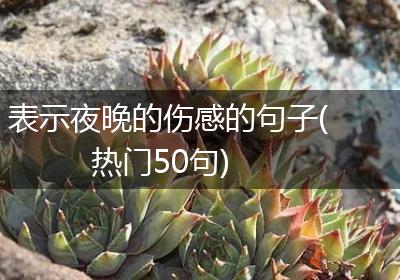 表示夜晚的伤感的句子(热门50句)