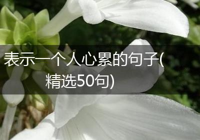 表示一个人心累的句子(精选50句)