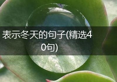 表示冬天的句子(精选40句)