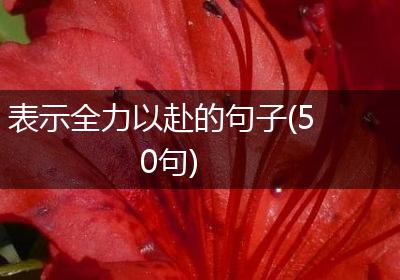 表示全力以赴的句子(50句)