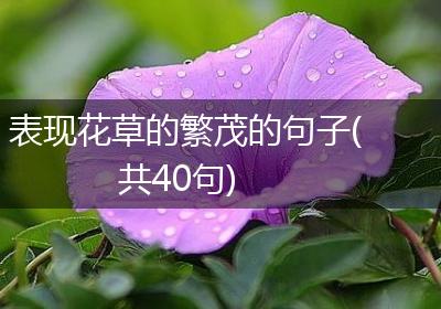 表现花草的繁茂的句子(共40句)