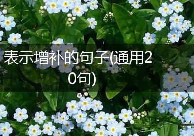 表示增补的句子(通用20句)