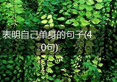 表明自己单身的句子(40句)