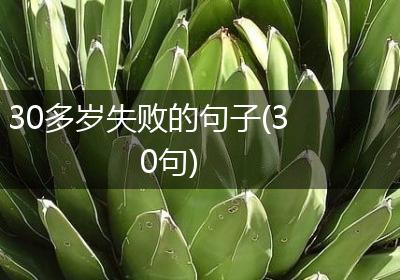 30多岁失败的句子(30句)