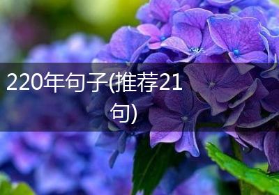 220年句子(推荐21句)
