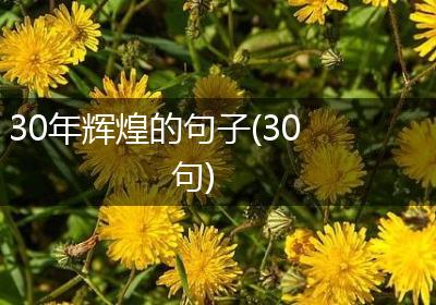 30年辉煌的句子(30句)