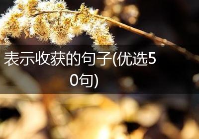表示收获的句子(优选50句)