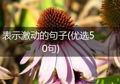 表示激动的句子(优选50句)