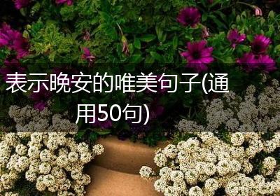 表示晚安的唯美句子(通用50句)