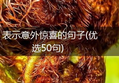 表示意外惊喜的句子(优选50句)
