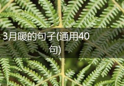 3月暖的句子(通用40句)