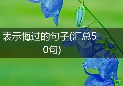 表示悔过的句子(汇总50句)