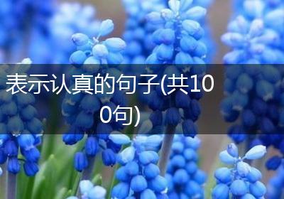 表示认真的句子(共100句)