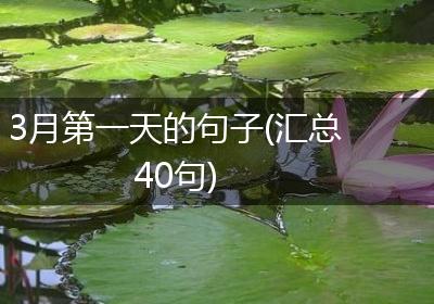 3月第一天的句子(汇总40句)