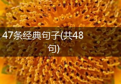 47条经典句子(共48句)