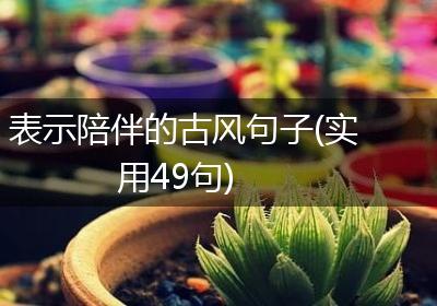 表示陪伴的古风句子(实用49句)