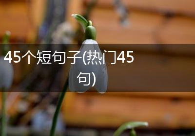 45个短句子(热门45句)