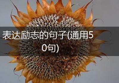 表达励志的句子(通用50句)