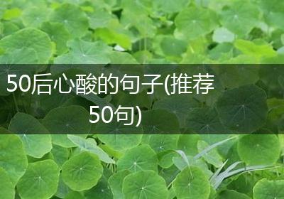 50后心酸的句子(推荐50句)