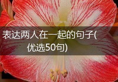 表达两人在一起的句子(优选50句)