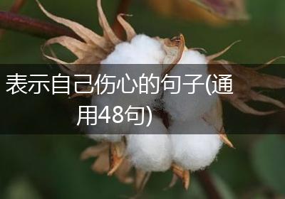表示自己伤心的句子(通用48句)