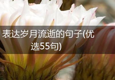 表达岁月流逝的句子(优选55句)
