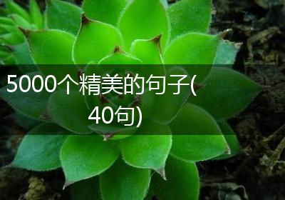 5000个精美的句子(40句)