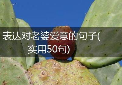 表达对老婆爱意的句子(实用50句)