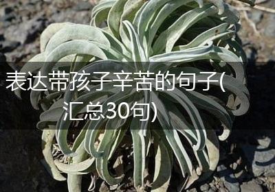 表达带孩子辛苦的句子(汇总30句)