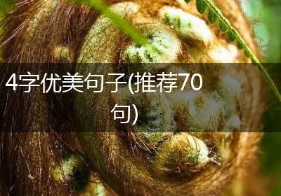 4字优美句子(推荐70句)
