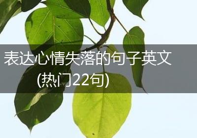 表达心情失落的句子英文(热门22句)