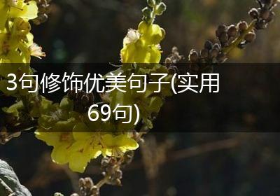 3句修饰优美句子(实用69句)