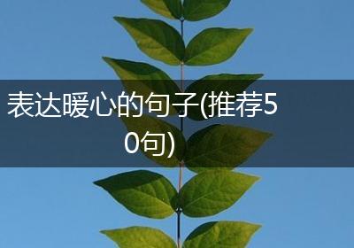 表达暖心的句子(推荐50句)