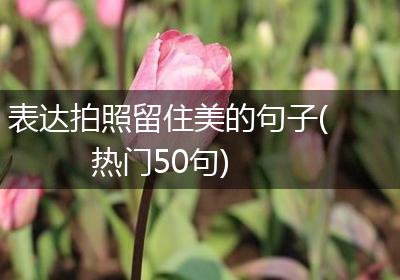 表达拍照留住美的句子(热门50句)