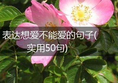 表达想爱不能爱的句子(实用50句)