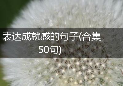 表达成就感的句子(合集50句)