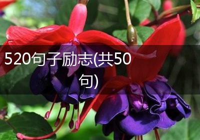 520句子励志(共50句)