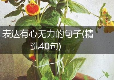 表达有心无力的句子(精选40句)