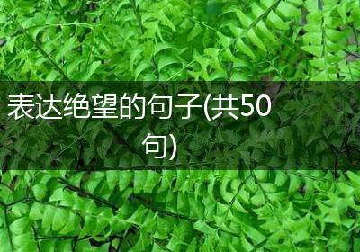 表达绝望的句子(共50句)
