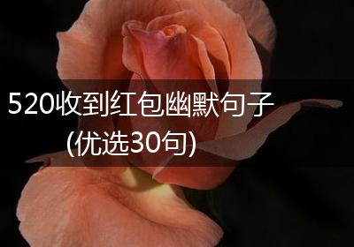 520收到红包幽默句子(优选30句)