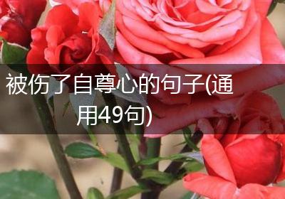 被伤了自尊心的句子(通用49句)