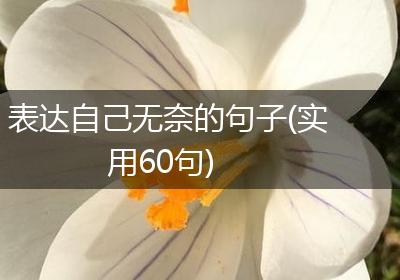 表达自己无奈的句子(实用60句)