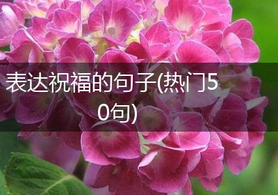 表达祝福的句子(热门50句)