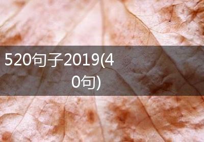 520句子2019(40句)