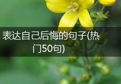 表达自己后悔的句子(热门50句)