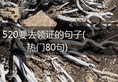 520要去领证的句子(热门80句)